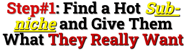 find a profitable sub-niche find a profitable sub-niche